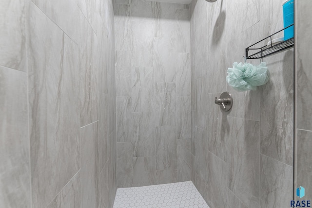 full bathroom with a tile shower