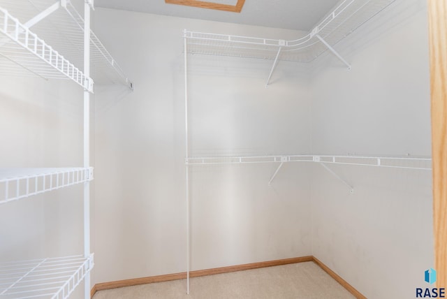 spacious closet featuring light colored carpet