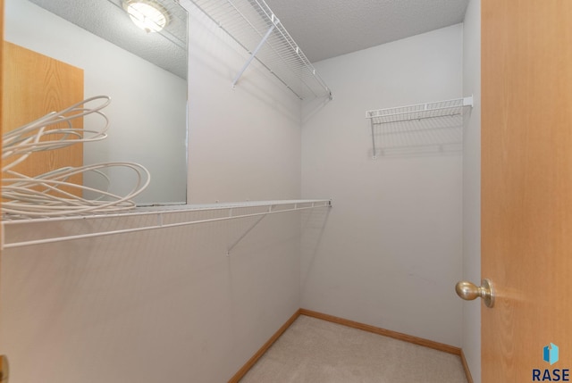 spacious closet featuring light colored carpet