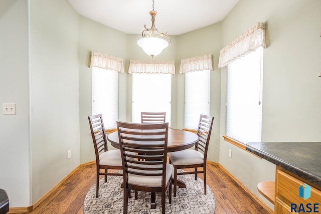 dining room featuring a healthy amount of sunlight, baseboards, and wood-type flooring