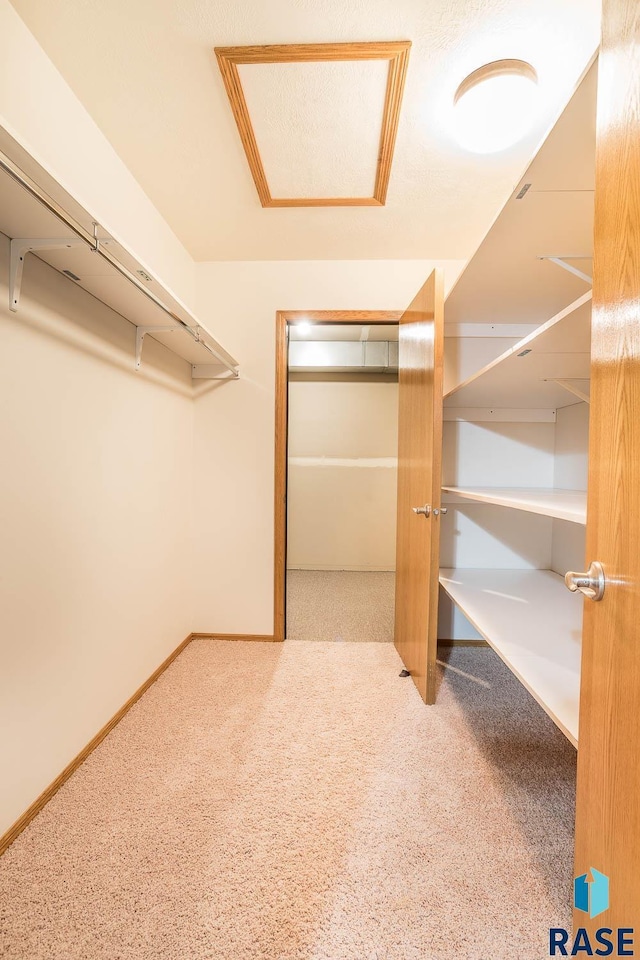 spacious closet with carpet floors