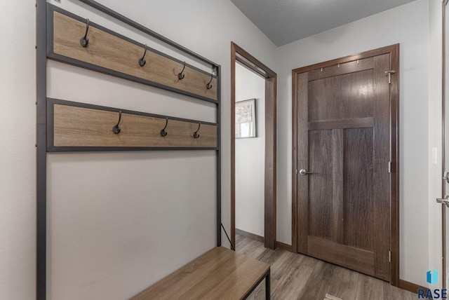 mudroom with baseboards and wood finished floors