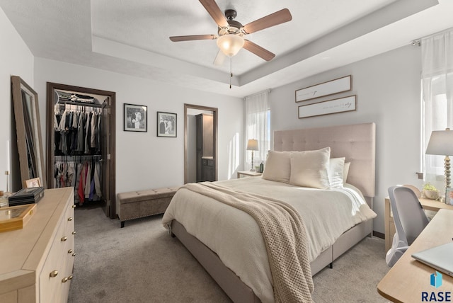 bedroom featuring a tray ceiling, a spacious closet, carpet flooring, and a closet