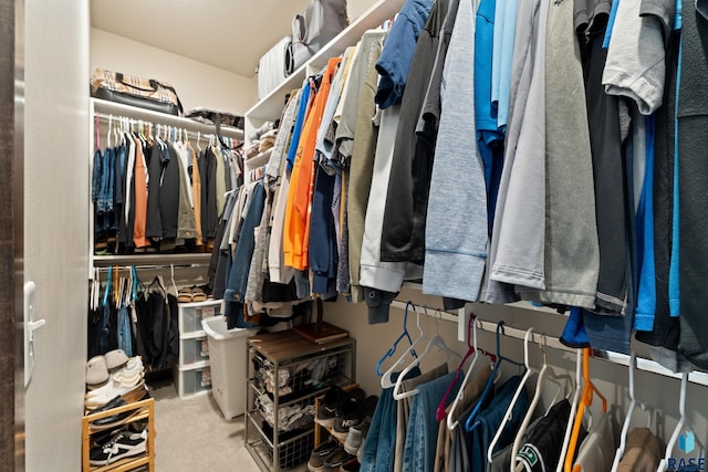 spacious closet with carpet