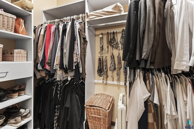 view of spacious closet