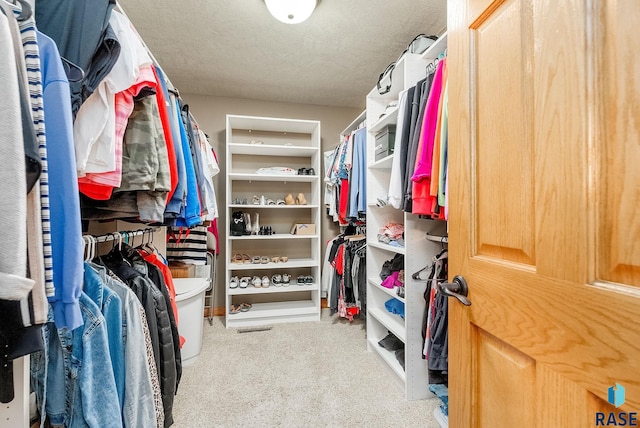 spacious closet with carpet