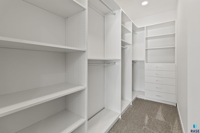 walk in closet with carpet floors