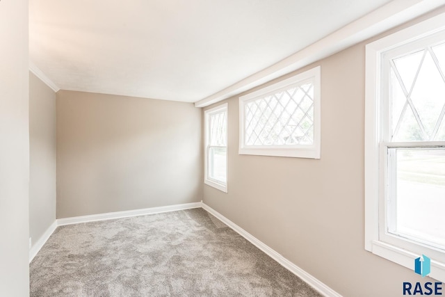 empty room featuring baseboards and carpet