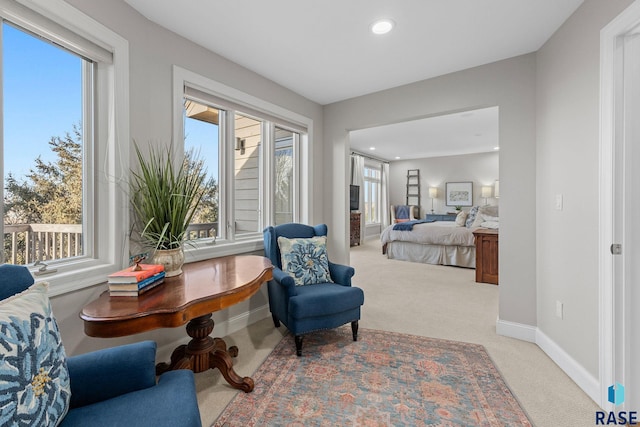 bedroom featuring multiple windows, recessed lighting, baseboards, and light carpet