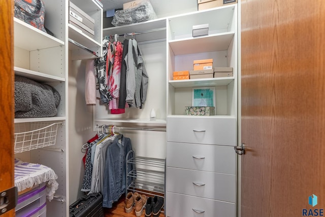 view of spacious closet