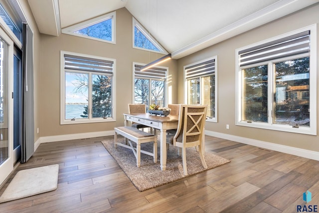 dining space featuring baseboards, high vaulted ceiling, and wood finished floors