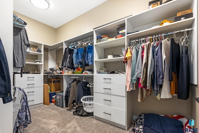 walk in closet with carpet floors