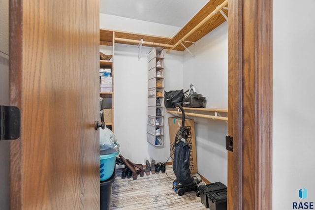 spacious closet featuring wood finished floors