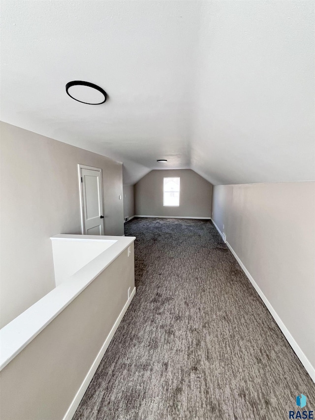 additional living space featuring carpet flooring, baseboards, and lofted ceiling