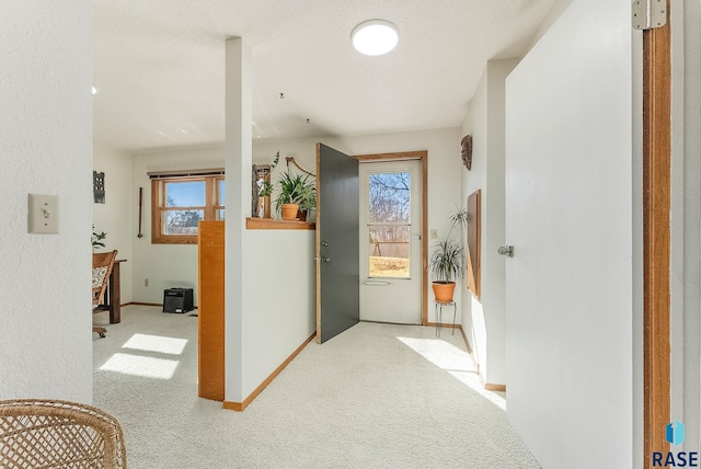 hall featuring carpet, baseboards, and a healthy amount of sunlight