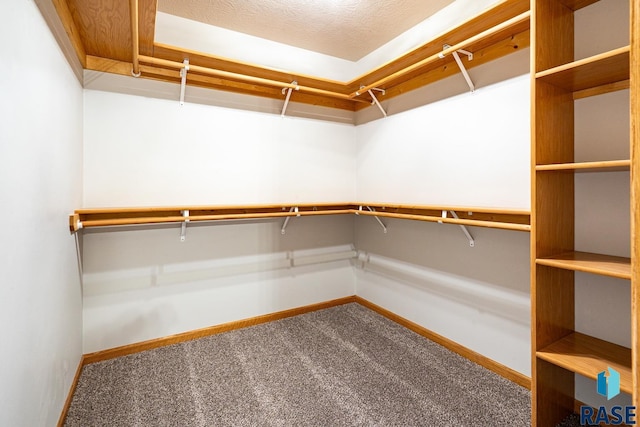 walk in closet with carpet