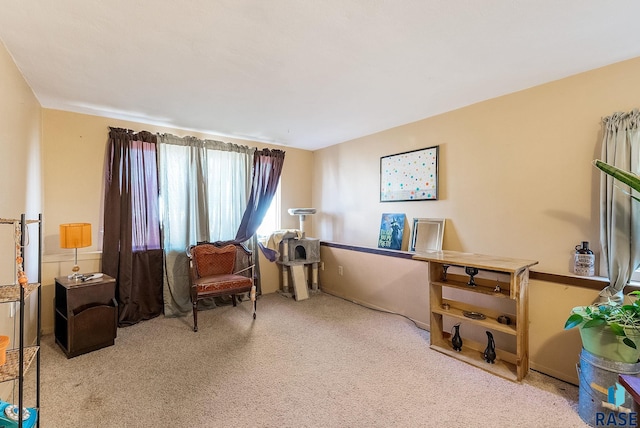 living area featuring carpet flooring