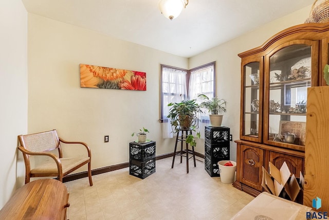 living area featuring baseboards and light floors