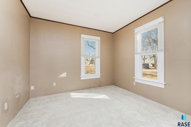 carpeted empty room with crown molding