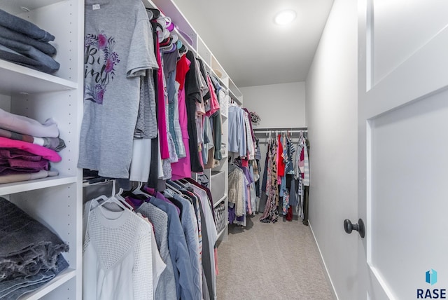 walk in closet with carpet floors