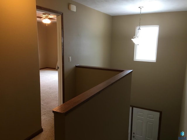 stairway with a ceiling fan and carpet