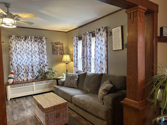 living area featuring ceiling fan, radiator, wood finished floors, and ornamental molding