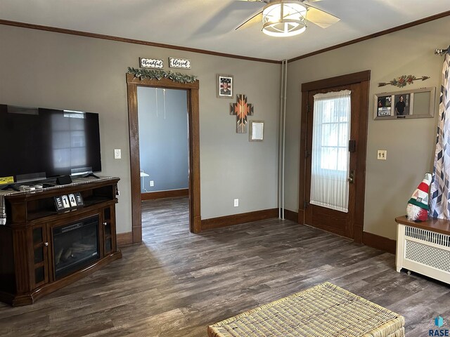 entryway featuring radiator, wood finished floors, baseboards, ceiling fan, and ornamental molding