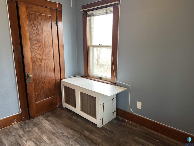 interior space with baseboards, multiple windows, and dark wood-type flooring