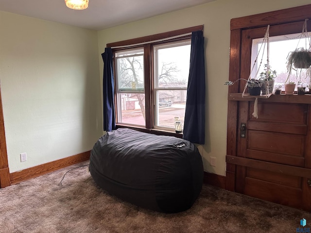 bedroom with baseboards and carpet