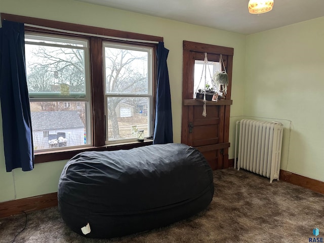 bedroom featuring radiator, baseboards, and carpet floors