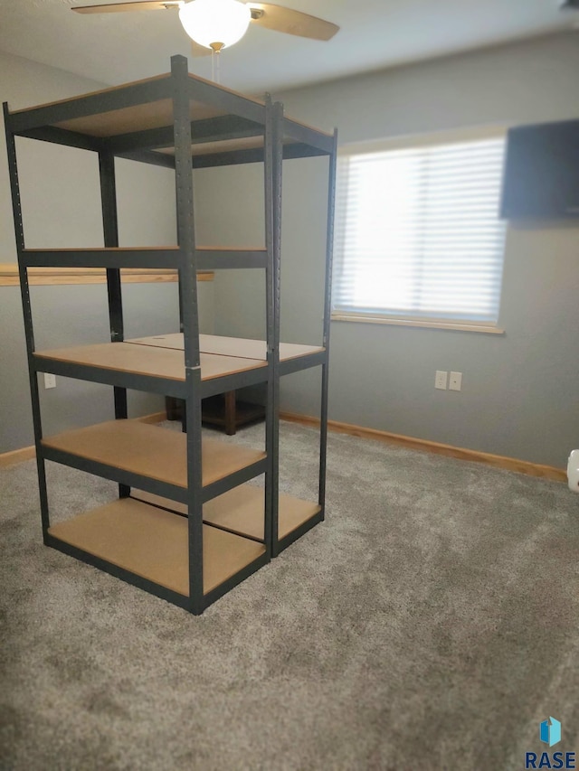 unfurnished bedroom with baseboards and carpet floors