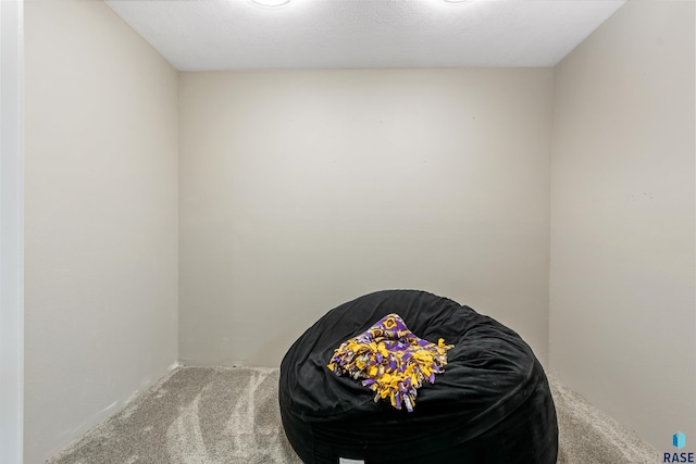 interior space featuring carpet floors