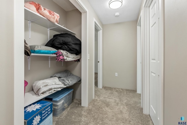 interior space featuring carpet floors