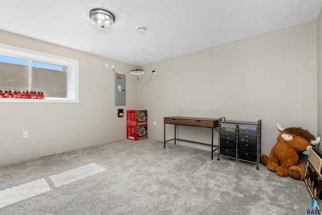 interior space featuring electric panel and carpet