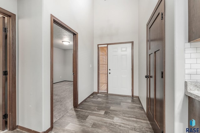 204 E 81st Pl, Sioux Falls, SD 57108 - carpeted foyer entrance featuring baseboards and wood finished floors