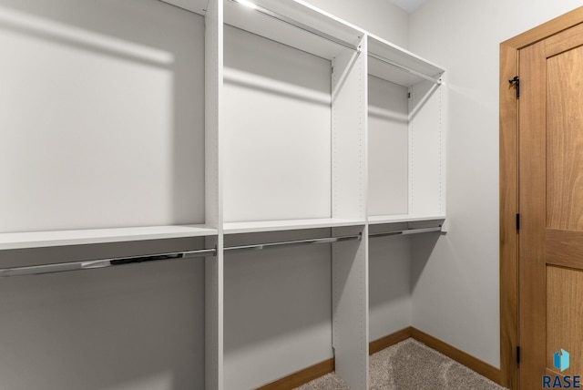 spacious closet with carpet