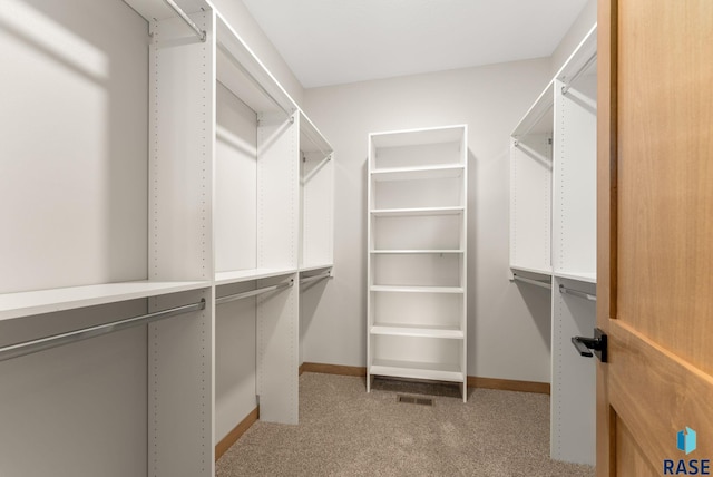 spacious closet with carpet floors