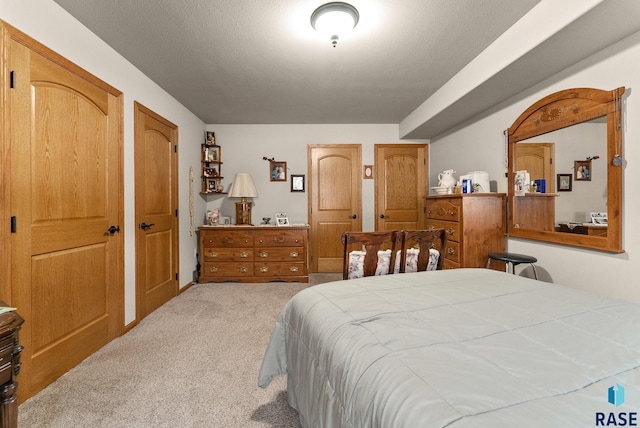 6305 Lakeview Dr, Wentworth, SD 57075 - carpeted bedroom featuring two closets