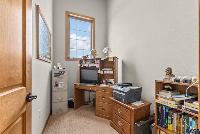 6305 Lakeview Dr, Wentworth, SD 57075 - office space featuring light carpet