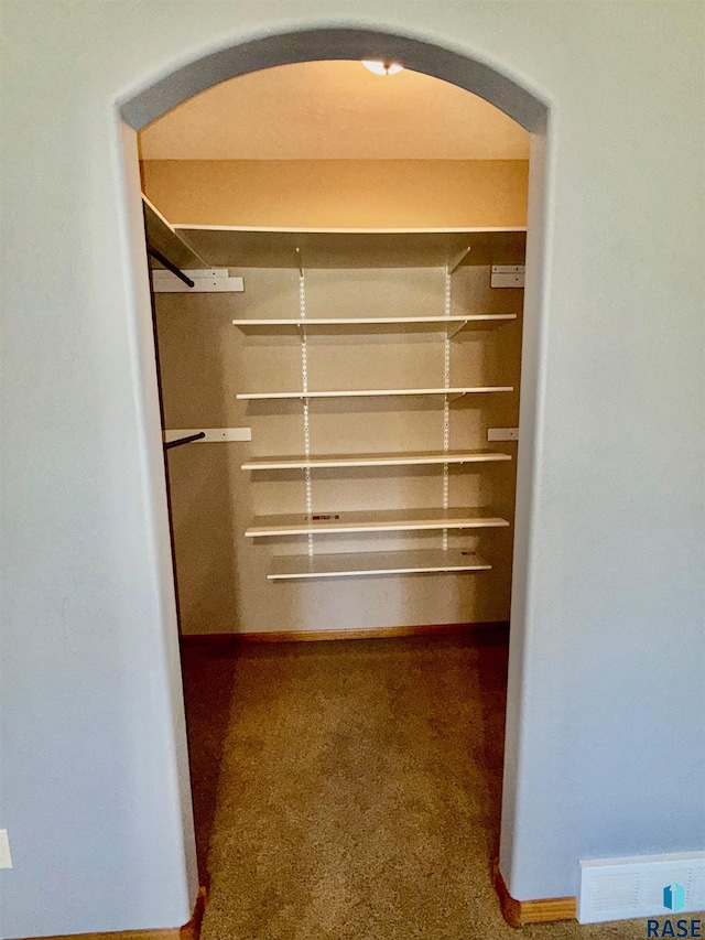 800 W Sterling Oak Cir, Sioux Falls, SD 57108 - spacious closet with arched walkways