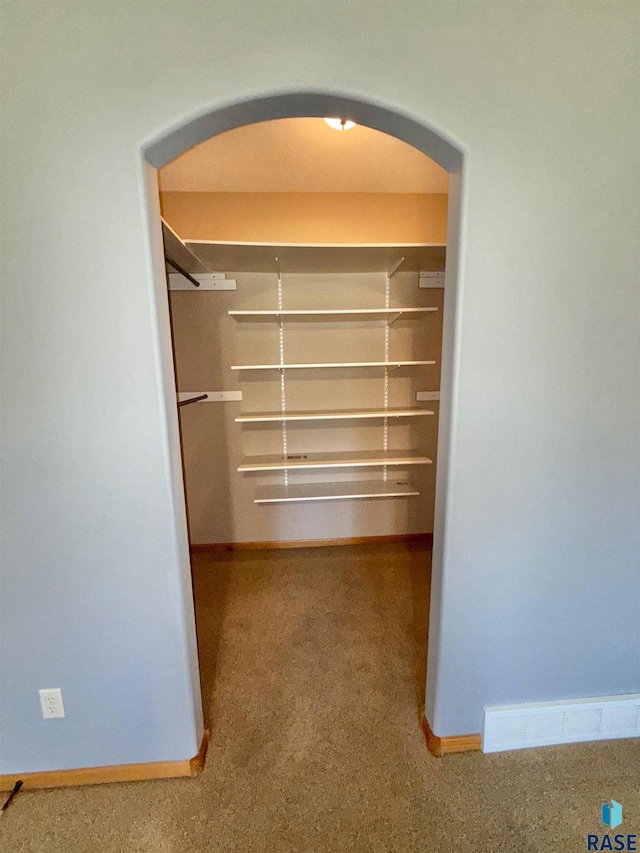 800 W Sterling Oak Cir, Sioux Falls, SD 57108 - walk in closet with arched walkways and carpet