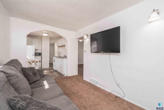 carpeted living area featuring a sink, visible vents, arched walkways, and a textured ceiling