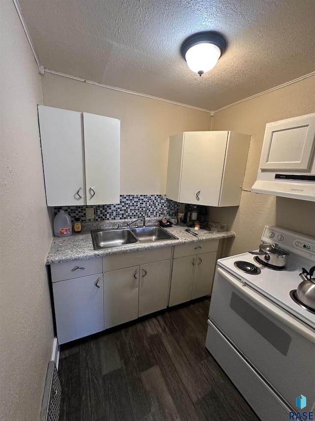 kitchen with tasteful backsplash, range hood, dark wood-type flooring, electric stove, and a sink