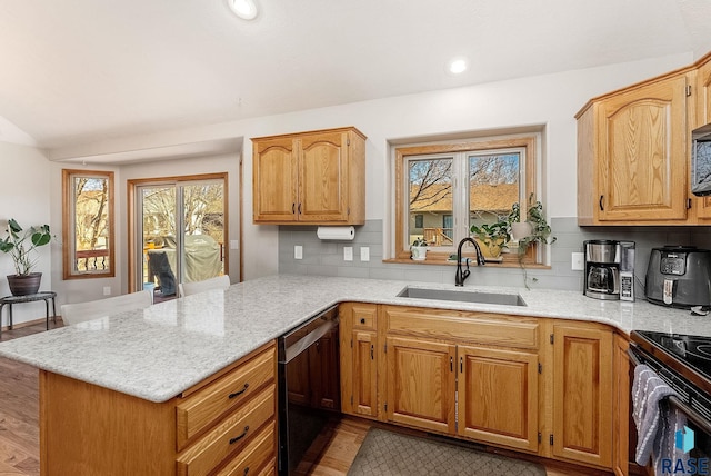 kitchen with plenty of natural light, backsplash, a sink, and dishwasher