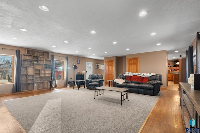29783 Frog Creek Rd, Centerville, SD 57014 - living area featuring light wood finished floors, recessed lighting, and a textured ceiling