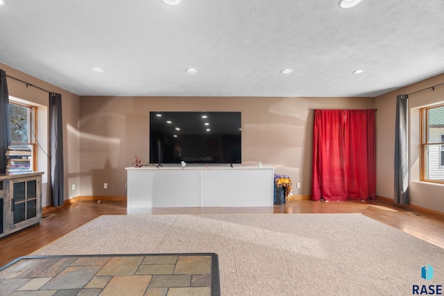 29783 Frog Creek Rd, Centerville, SD 57014 - living area with wood finished floors, baseboards, and recessed lighting