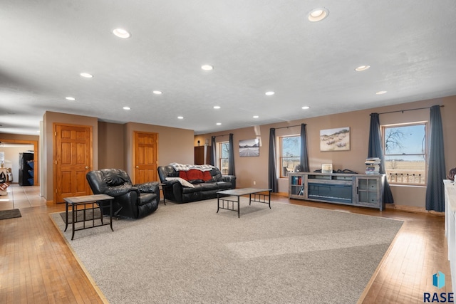 29783 Frog Creek Rd, Centerville, SD 57014 - living room featuring baseboards, recessed lighting, and wood-type flooring