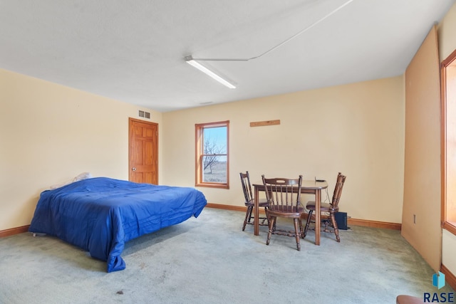 29783 Frog Creek Rd, Centerville, SD 57014 - bedroom featuring baseboards, visible vents, and carpet floors