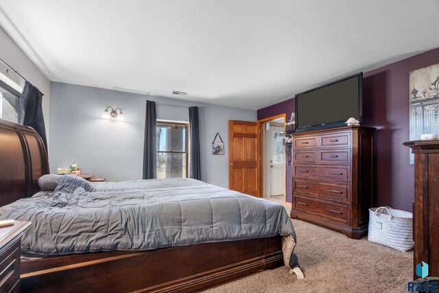 29783 Frog Creek Rd, Centerville, SD 57014 - bedroom featuring light colored carpet and visible vents