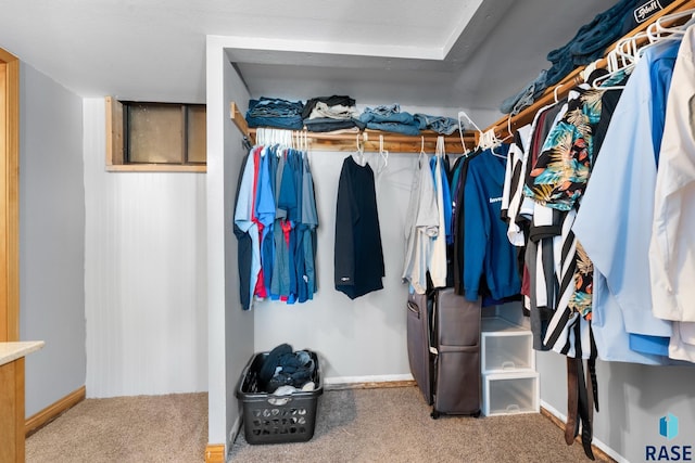 29783 Frog Creek Rd, Centerville, SD 57014 - walk in closet with carpet